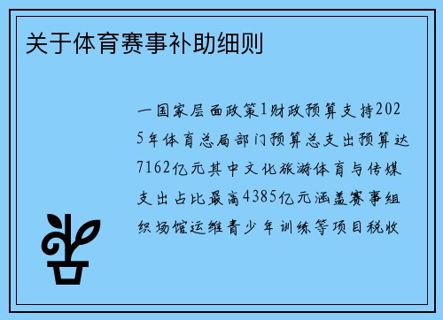 关于体育赛事补助细则