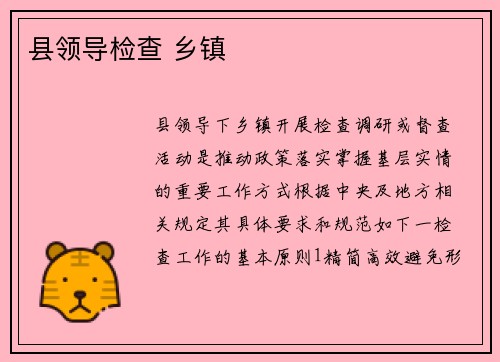 县领导检查 乡镇