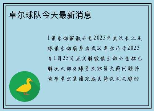 卓尔球队今天最新消息